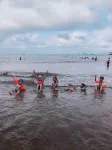 ジョウ泗青源閣オーシャンビュー民宿 - ペット同伴可