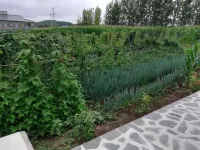 Lake Jingpo Zhoujia Farm Stay - 2 ดาว