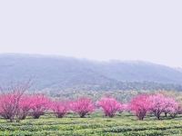 苏州儒林居精品酒店 - 酒店附近