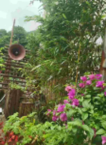 金華蜜麒香民宿 鄰近金華雙龍風景旅遊區的酒店