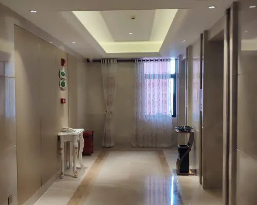Vienna International Hotel الأماكن العامة Photos