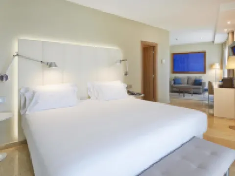 NH Ciudad de Zaragoza Hotels in Saragossa