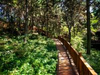 长春雪驰山旅游度假村 - 其他