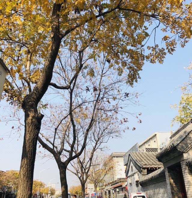 베이징 호텔 주변 환경