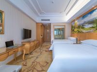 维纳斯国际酒店(武汉汉口北店) - 高级雅致双床房