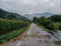 湖州马清清特色民宿 - 其他