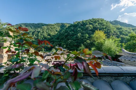 Fell as  a  bird  to  your   mountain   Hotel Отели рядом с достопримечательностью «First Draftage of Zhashui Canyon»