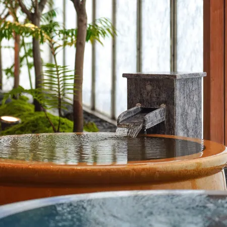 Gokurakuyu (Jin Yin Tan) Spa Hotel (Wuhan Polar Ocean World)
