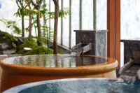 Gokurakuyu (Jin Yin Tan) Spa Hotel (Wuhan Polar Ocean World) - Kuumat lähteet
