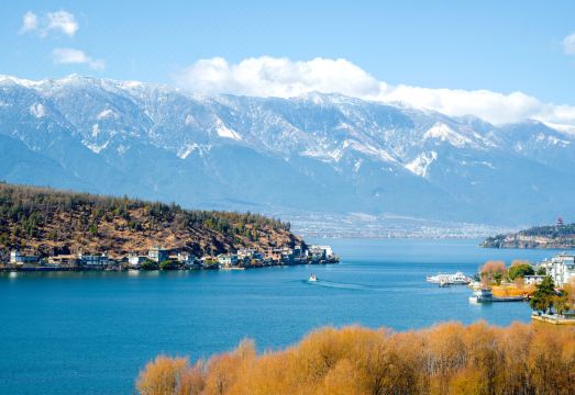 Guyue Xareidu 전망