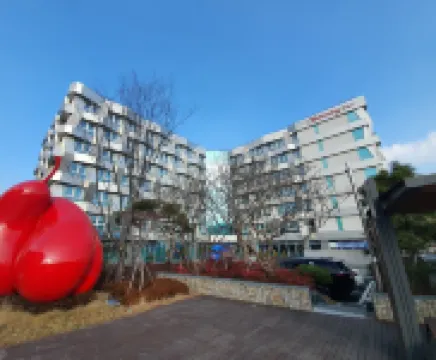 청초호 베스트 호텔 청초호 주변 호텔