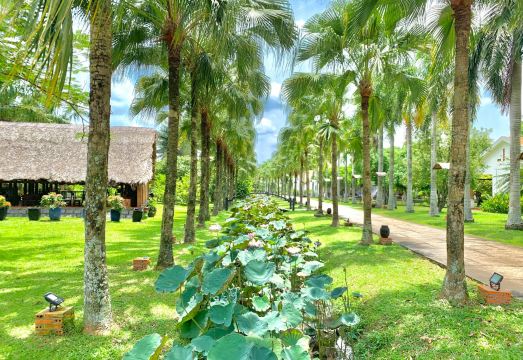 레 아무드 로리안트의 야외 수영장