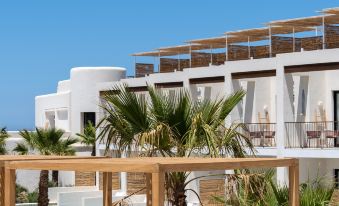 TRS Ibiza Hotel- Adults Only+16
