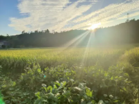 Farmstay Baiwei Farm Stay
