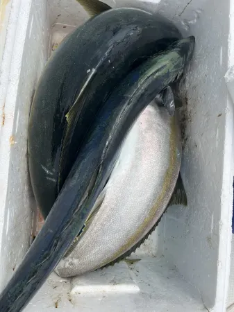 Yuanzi Island Yishan Guanlan Homestay Отели в г. Чанхай