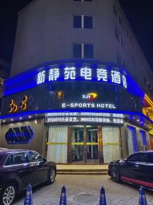 Linying New Jingyuan E-sports Hotel Hotels in Linying County