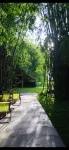 Feng and Bamboo Homestay