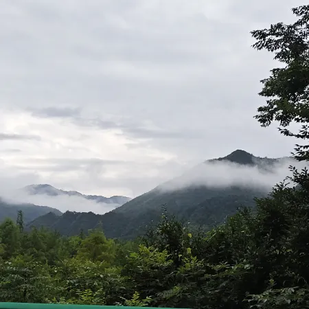 Lulin Mountain House Homestay (Redwood Forest Scenic Area)