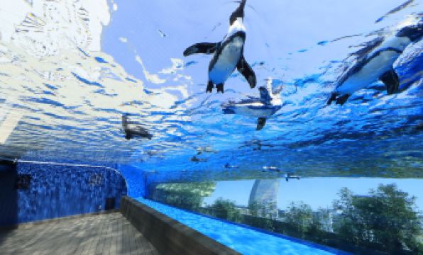 Hotel Wing International Select Ikebukuro