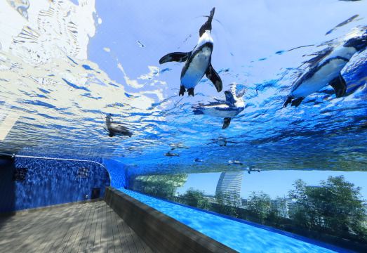 KOKO HOTEL Ikebukuro 로비 및 프런트 데스크