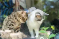 Crazy Man's Shop · Coffee Homestay (Nan'ao Island Qing'ao Bay Branch)