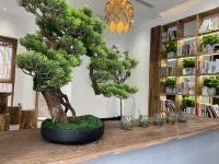Shanpin Mountain home stay Hotels near Qingyin Pavilion