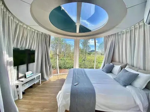 Wu Su He Zhe Xing Wan