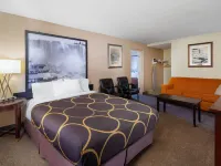 Super 8 by Wyndham Niagara Falls by the Falls Hotels near Bird Kingdom