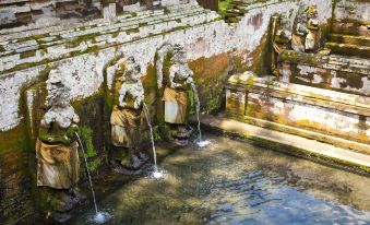 Hidden Side of Ubud