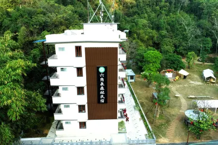 Hexagonal Spring Forest Homestay Отели в г. Фенкай