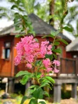 OPINE.VILLAS