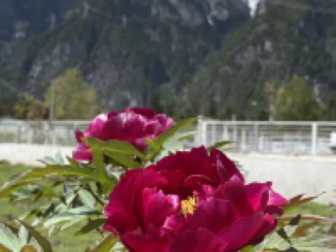 랑추포안산속의 집 보미 호텔