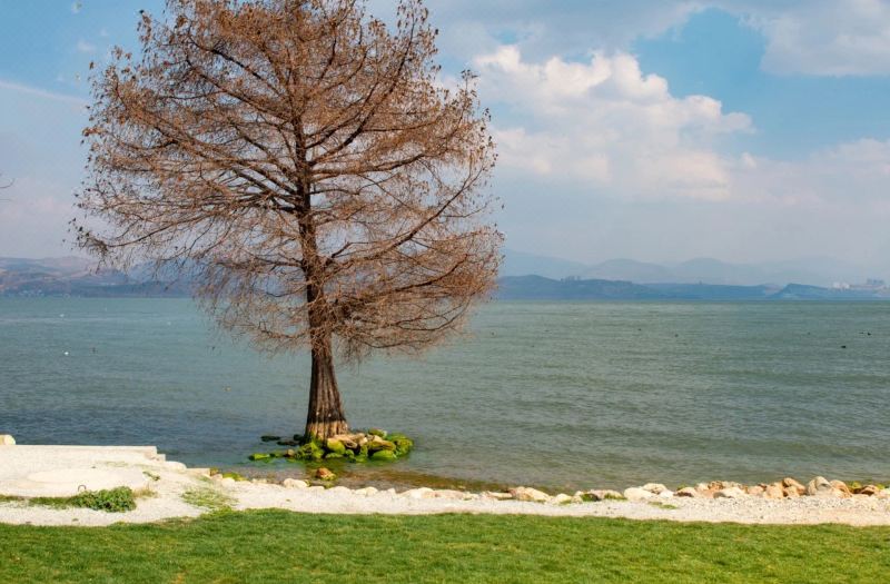 Free Loop Erhai Lake View Resort Hotel photo 4