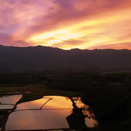 Micang Xiaozhu Homestay