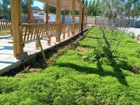 Altay Aye Yuanzi Homestay Hotels near Altay Xuedu Airport