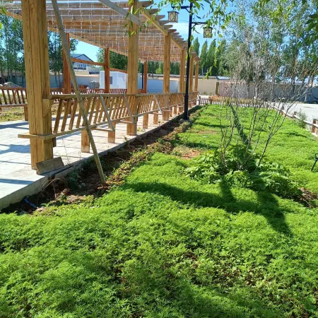 Altay Aye Yuanzi Homestay