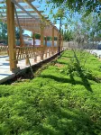 Altay Aye Yuanzi Homestay Отели рядом с Аэропорт Алтай