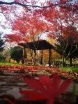 Siming Village Woodland Resort Hotels in Siming Lake/Siming Mountain Scenic Area