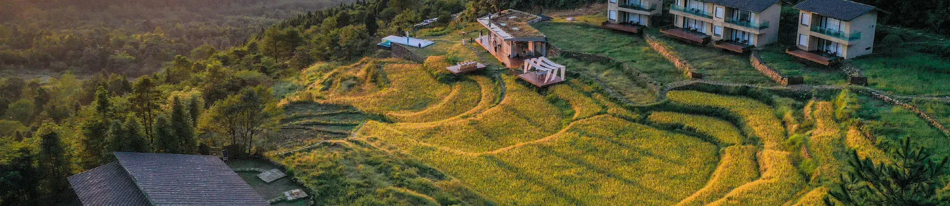 Farm Stays