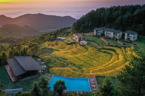 Stray Birds Hotel