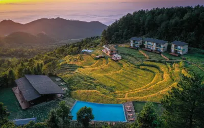 Stray Birds Hotel Các khách sạn ở Điếm Giang
