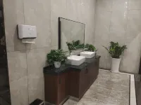 Platine Hotel Pingxiang
