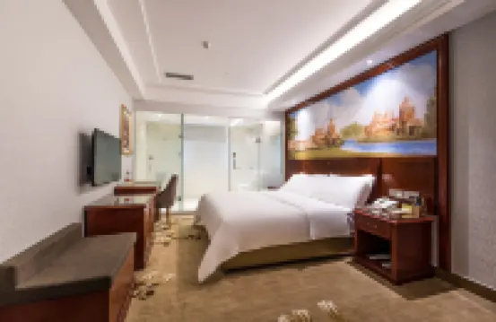 維也納酒店（中山三角店） 三角鎮/民眾鎮酒店