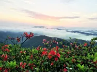 雲冰山他山石客棧