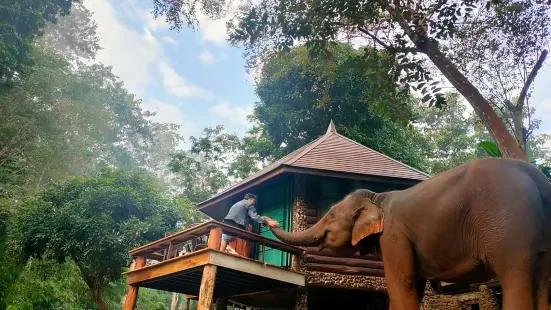 Tawan Riverside - Elephant Resort