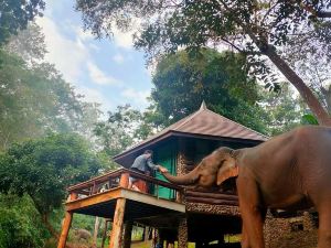 Tawan Riverside - Elephant Resort