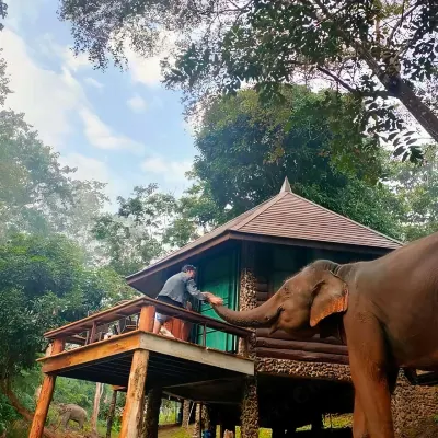 Tawan Riverside - Elephant Resort Hotels near The Chai Lai Orchid