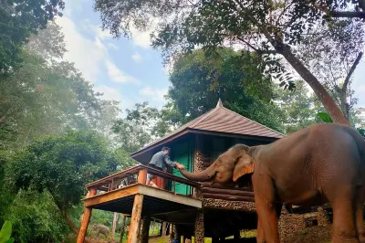 Tawan Riverside - Elephant Resort Отели в г. Mae Wang