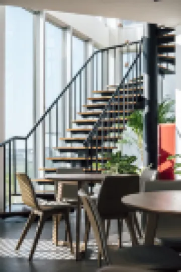 Sunlight on the peninsula