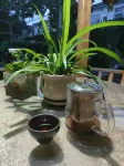 Daoyuan Inn - Inns